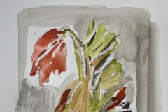 Fiore, acquerello, cm 21x30