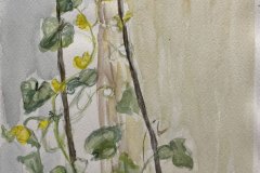 Fiori schizzo, acquerello, cm 14x23