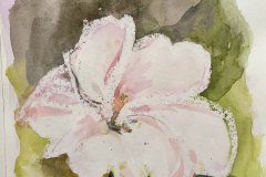 schizzo floreale, acquerello, cm 20x30