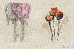 Fiori, acquerello, cm 13x18