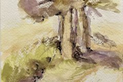 Alberi, acquerello, cm 13x18
