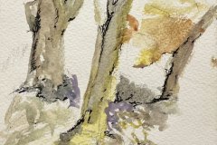 Alberi, acquerello, cm 13x18