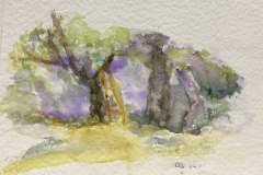 Fico soliano, acquerello, cm 18x23