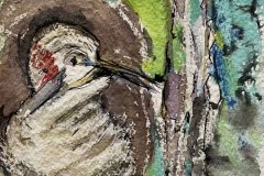Bird  Chicago, acquerello, cm 22x30