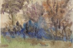 Alberi, acquerello, cm 15x15