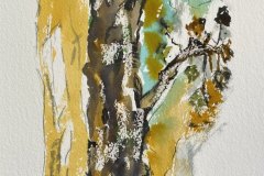 Albero, acquerello, cm 16x27