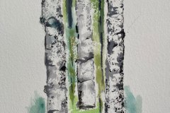 Albero, acquerello, cm 16x27
