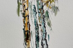Albero, acquerello, cm 16x27