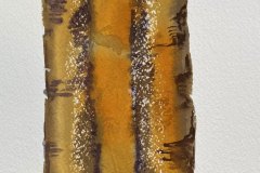 Albero, acquerello, cm 16x27