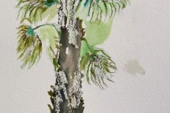 Albero, acquerello, cm 16x27