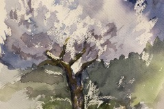 Albero, acquerello, cm 30x20