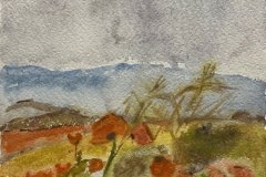 Papaveri, acquerello. cm 20x30