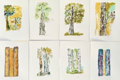 Alberi, acquerello, cm 52x64