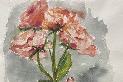 Rosa, acrilico, cm 40x55