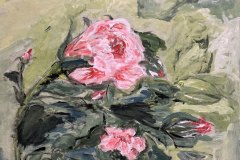 Rosa, acrilico, cm 33x46