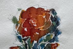 Rosa, china, cm 21x30