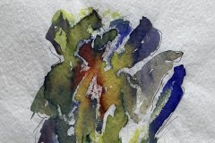 Fiori, china, cm 21x30