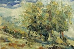 Campagna, olio,  cm 37x30