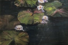 Ninfee , Olio su tela, cm 80x80