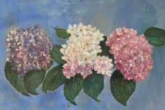 Ortensie, olio, cm 42x80