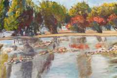 Riflesso su lago, olio su tela, cm70x90