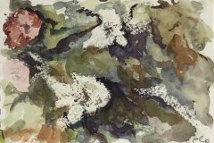 appunti floreali, acquerello cera, cm 10x15