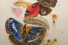 Farfalle, china e cera, cm 55x77