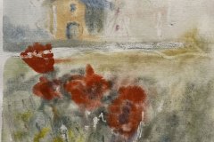 Papaveri, acquerello e olio, cm 20x40