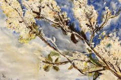 Fioritura, acquerello e cera, cm 30x40